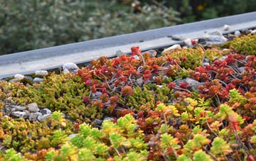 the cost of Chippenhall Green green roof installation