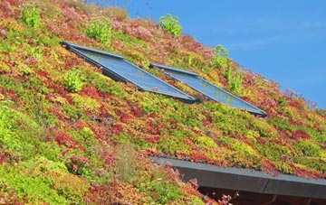 Chippenhall Green living roof systems